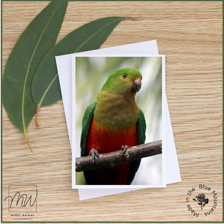 Blank Greeting Card -Female King Parrot