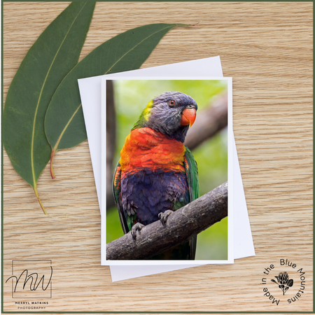 Blank Greeting Card - Rainbow Lorikeet Photo