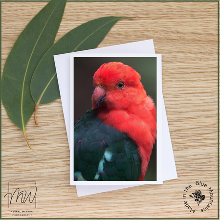 Blank Greeting Card - Male King Parrot Portrait