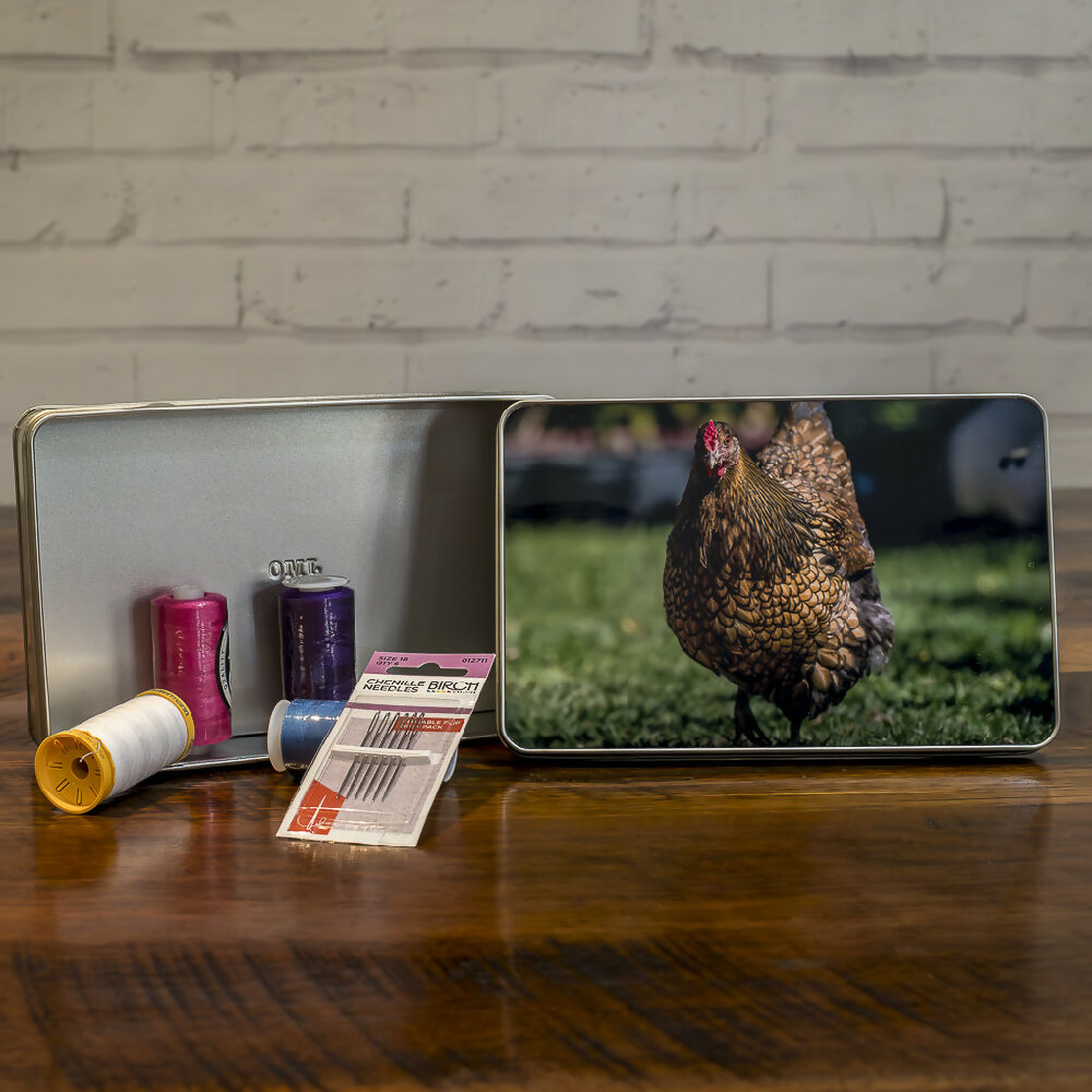 DSC_5156-Enhanced-NR