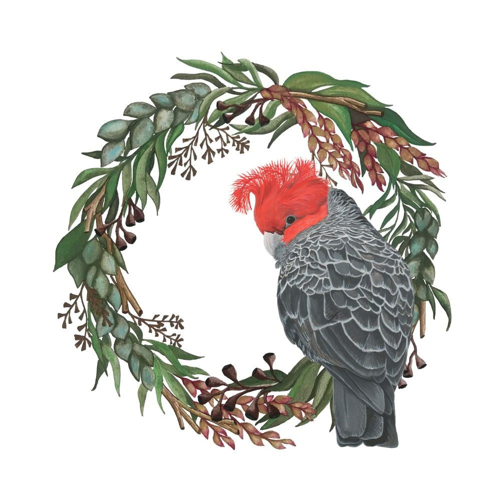 Christmas cards featuring Australian Bird Watercolour Paintings