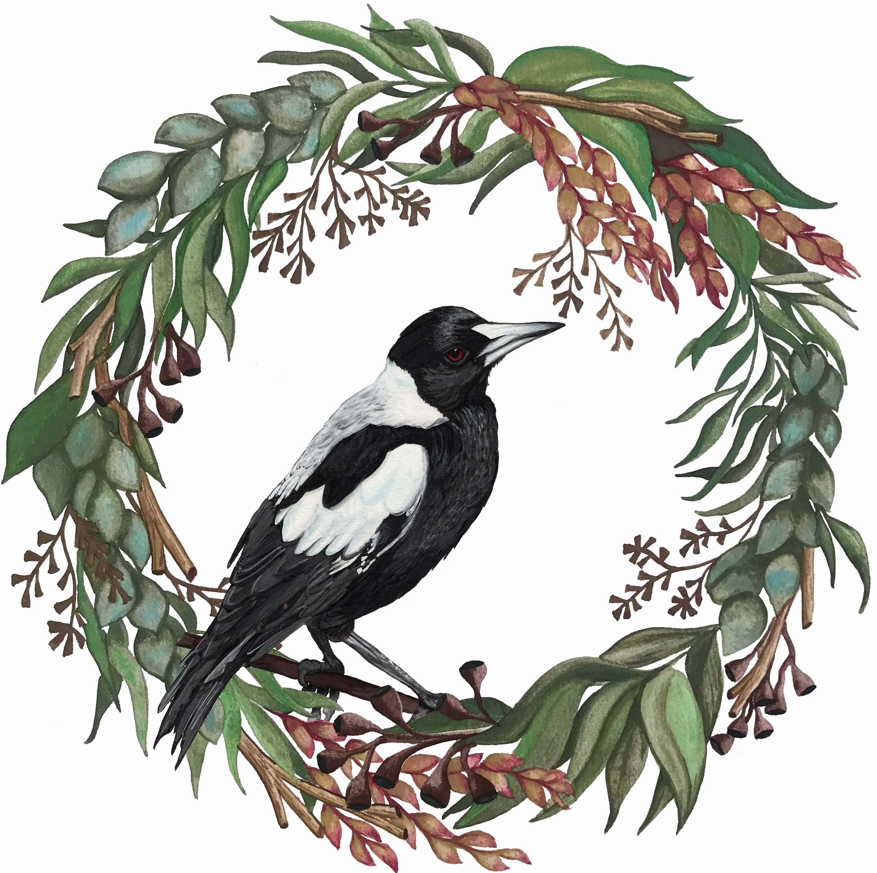 Christmas cards featuring Australian Bird Watercolour Paintings