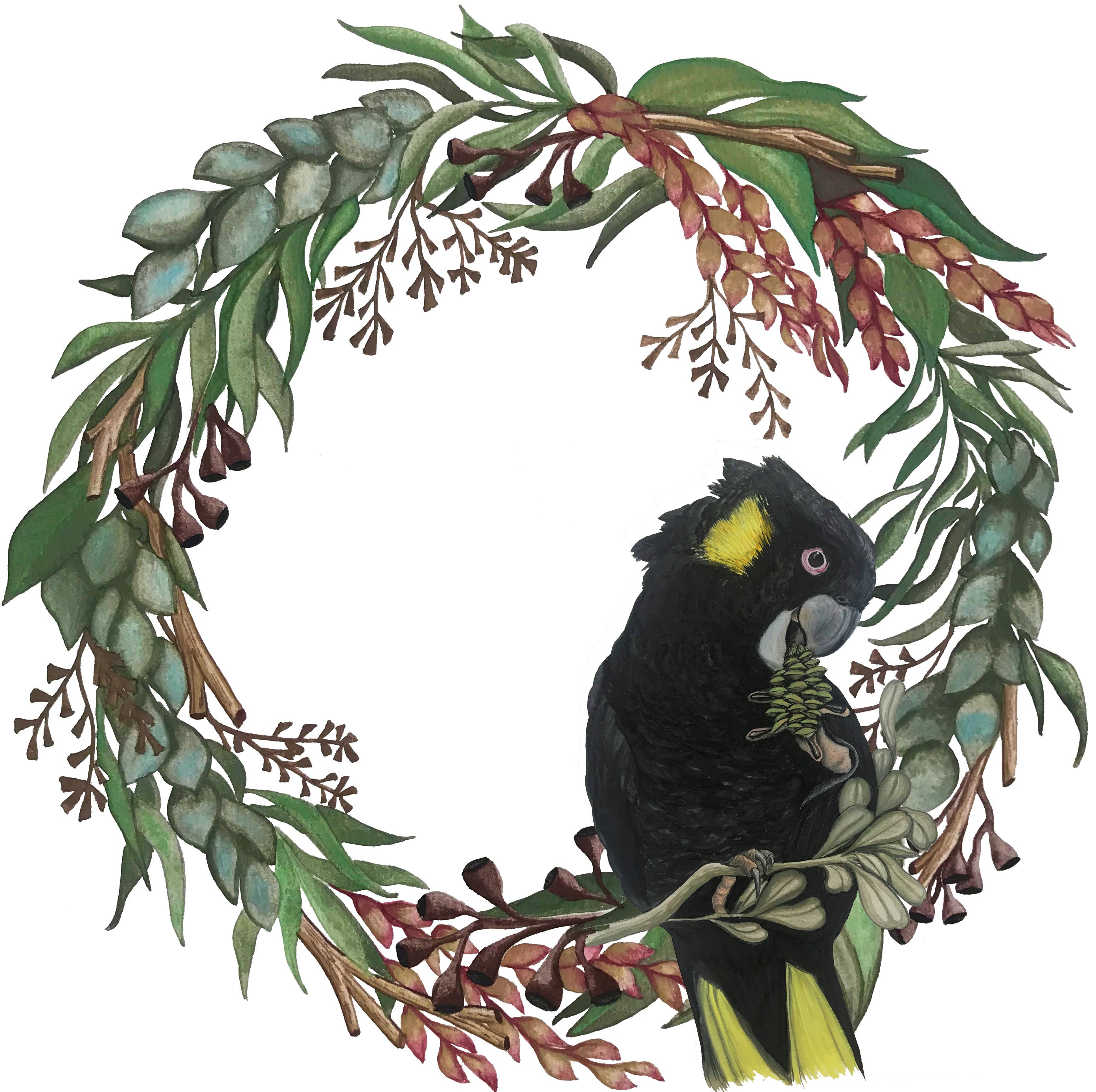 Christmas cards featuring Australian Bird Watercolour Paintings