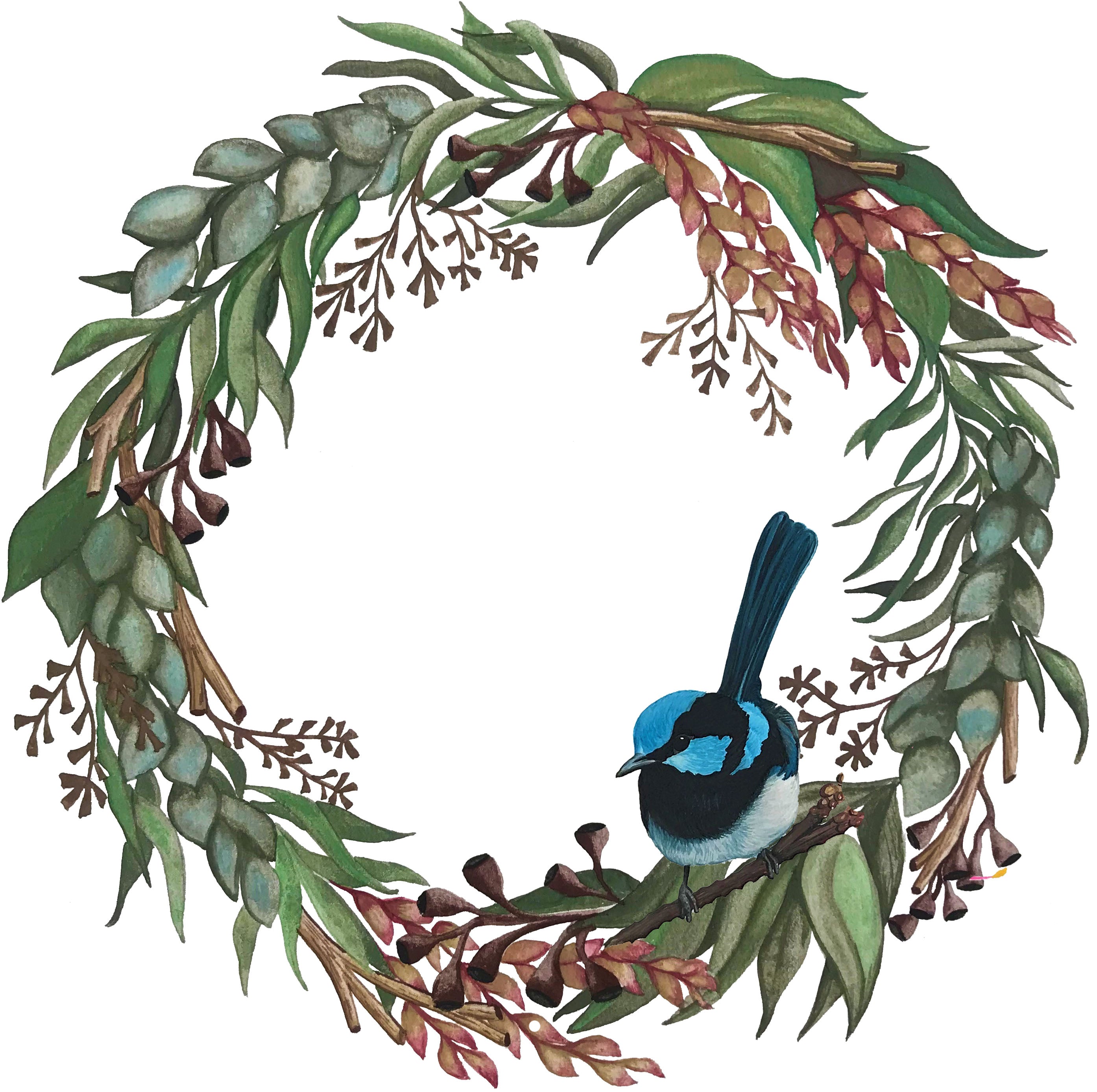 Christmas cards featuring Australian Bird Watercolour Paintings