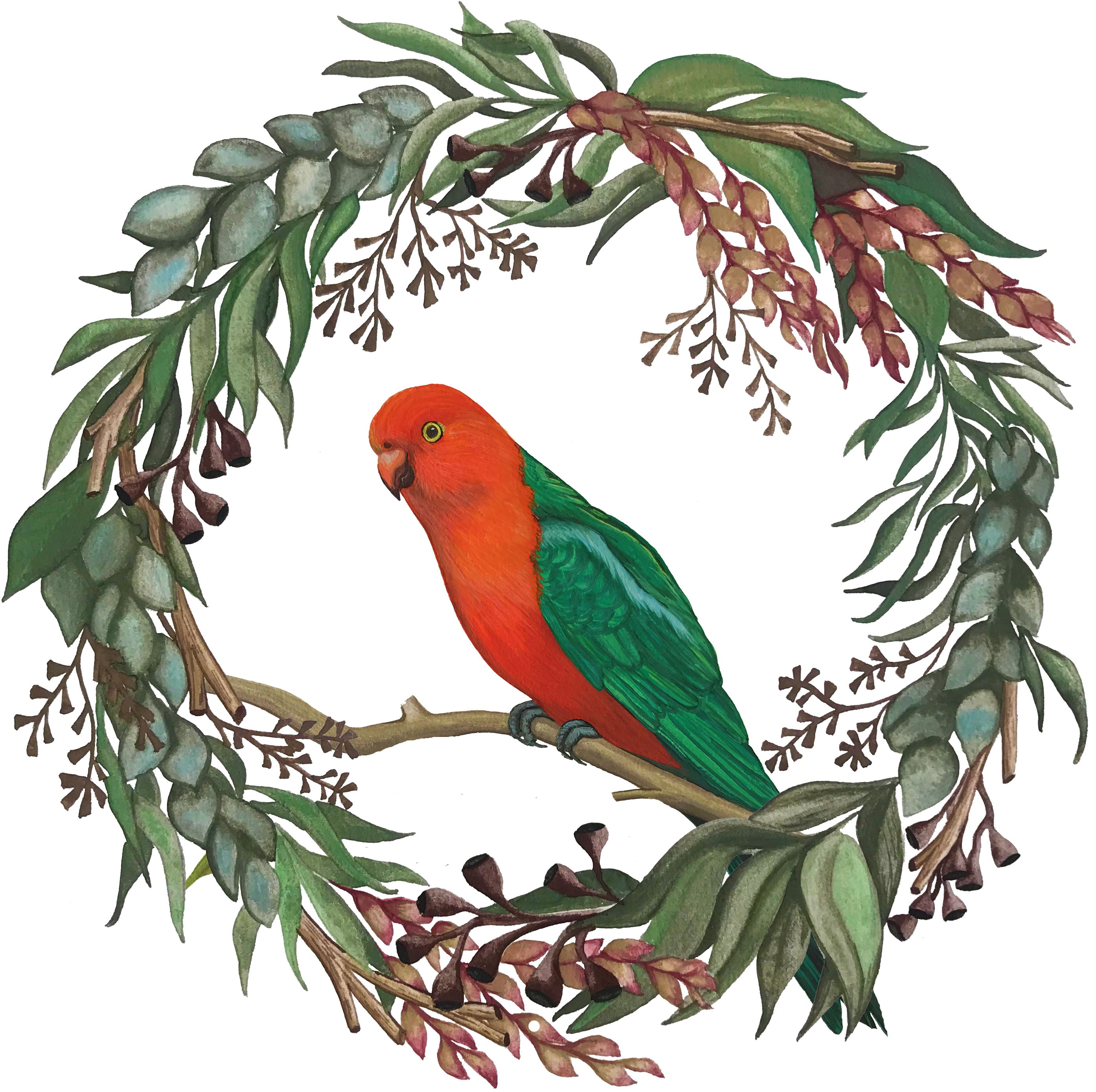Christmas cards featuring Australian Bird Watercolour Paintings