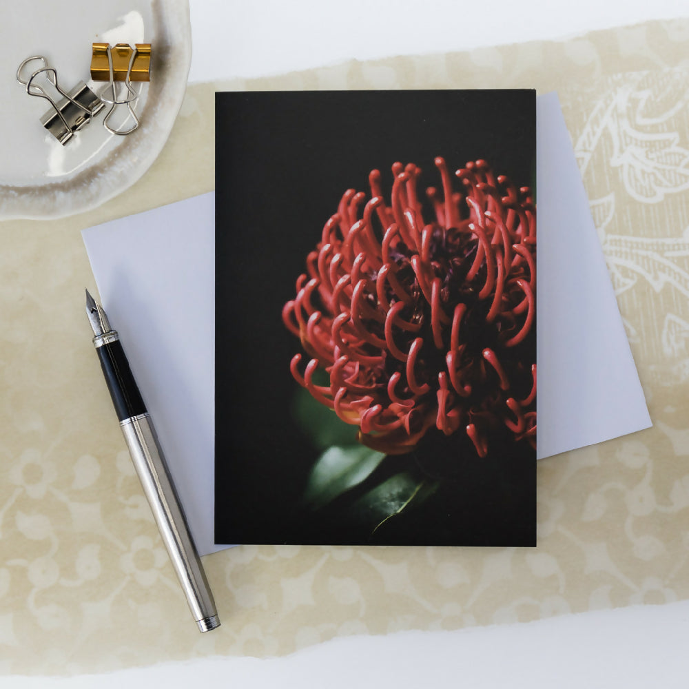 king protea flower blank card