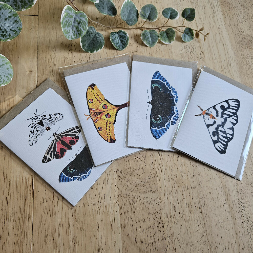 Watercolour Greeting Cards - Moths - Set of 4