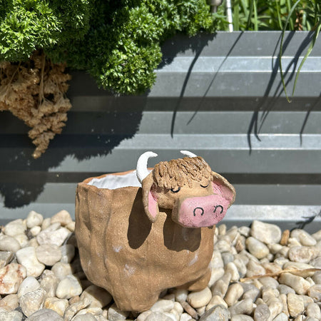 Brown Cow Planter Large