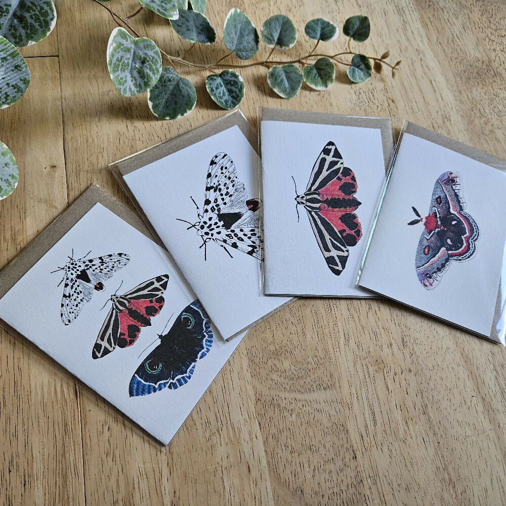 Watercolour Greeting Cards - Moths - Set of 4