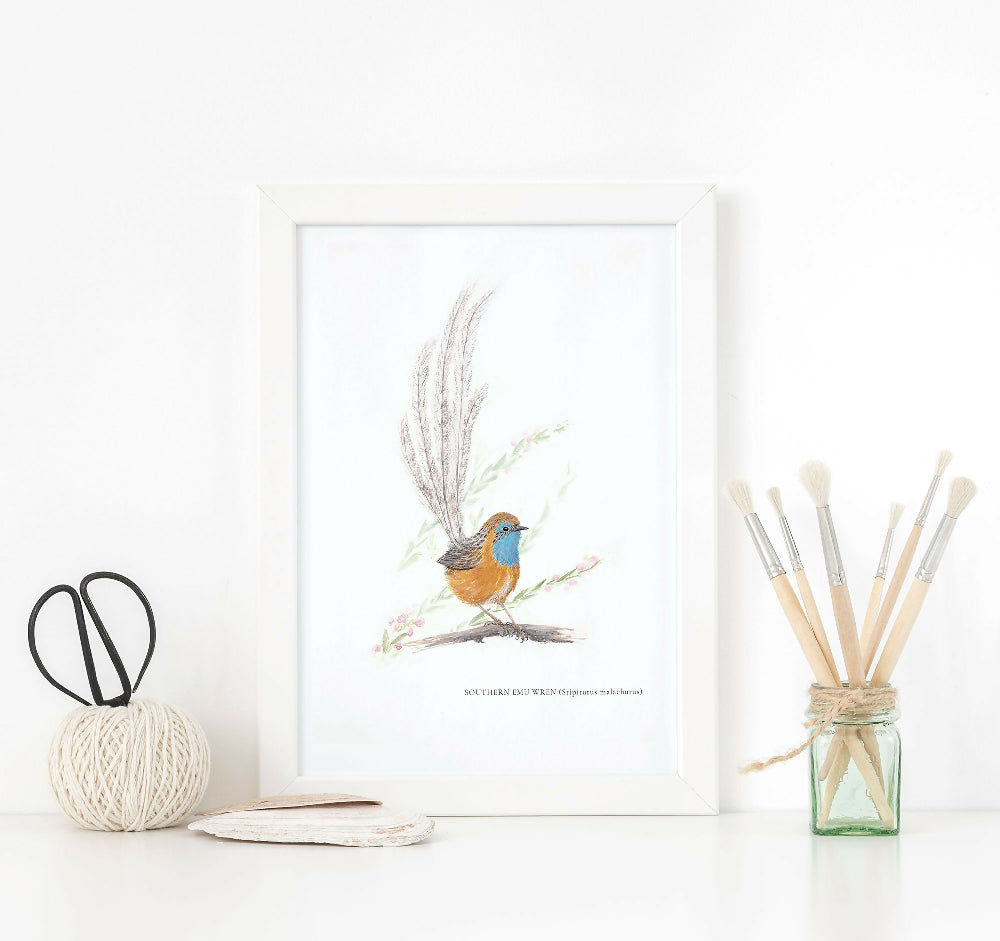 Southern Emu-Wren (Stipiturus malachurus) Painted by Kathleen Quinert at Ark Hill Studio in South Gippsland