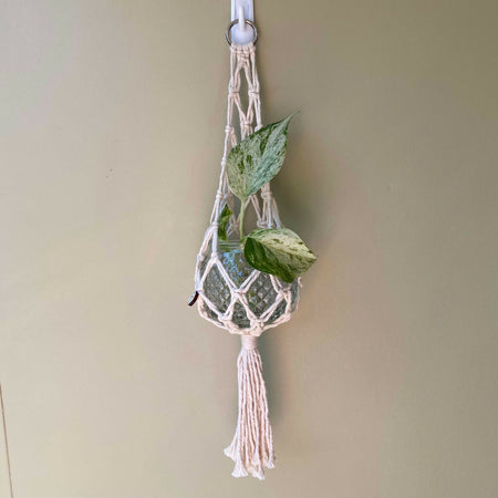 Mini Macrame Bowl Plant Hanger