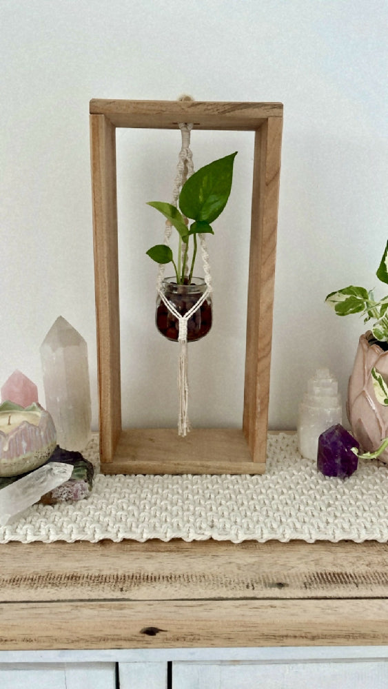Framed Macrame Propagation Stations