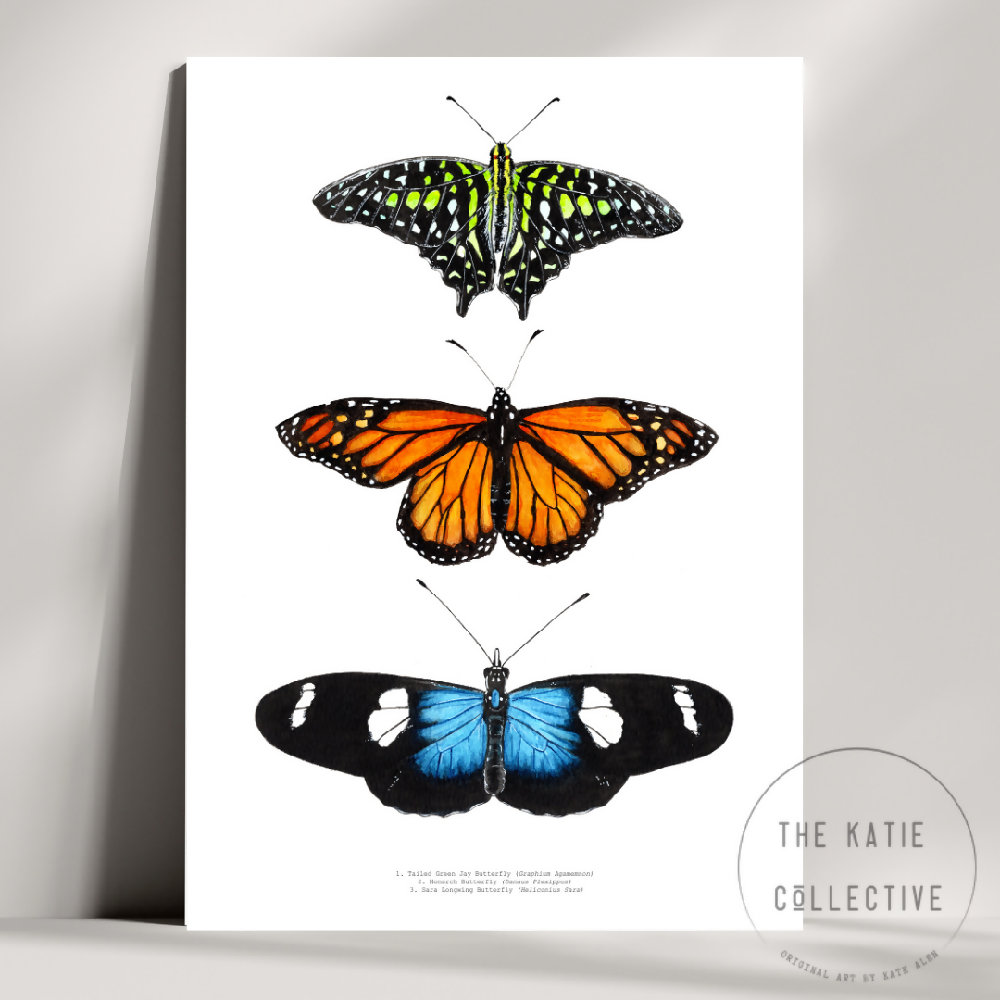 the katie collective - butterfly trio