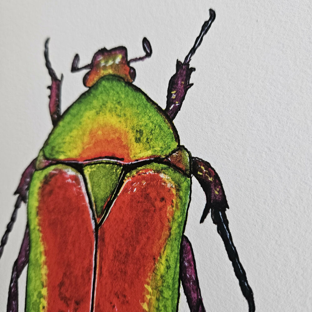 art print - the fauna series - copper chafer