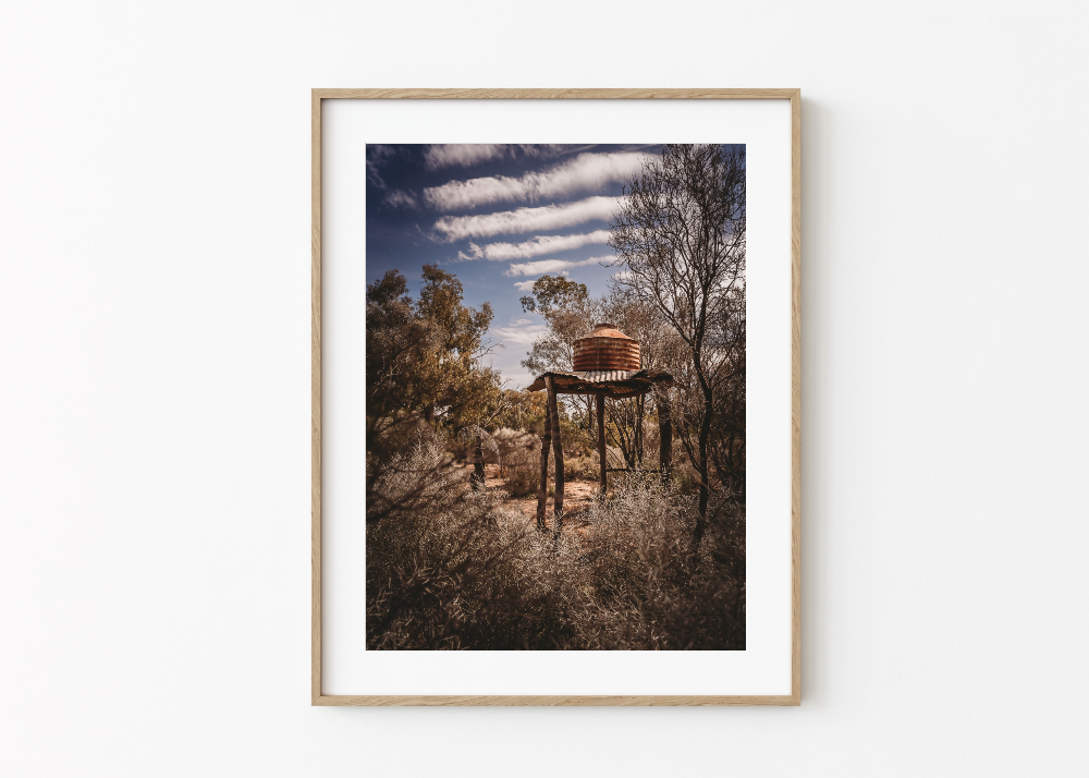 Rusty Bushland Structures #3