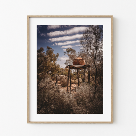 Rusty Bushland Structures #3