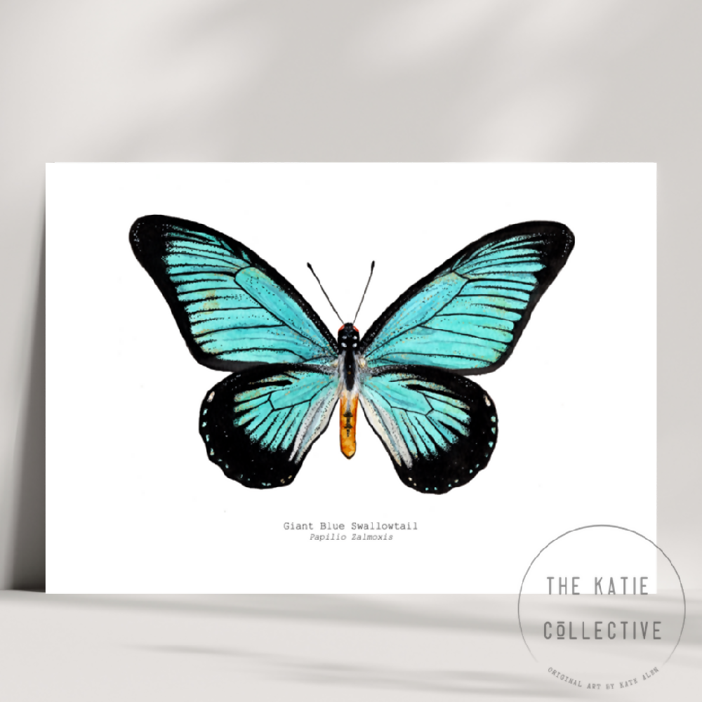 the katie collective - giant blue swallowtail
