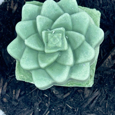 Cactus Soap Plant | Organic Green Tea infused | Natural Ingredients | 225g