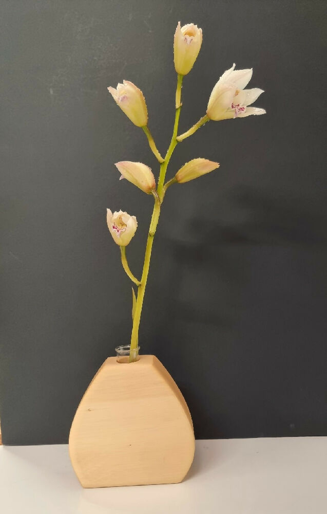 Huon Pine Vases