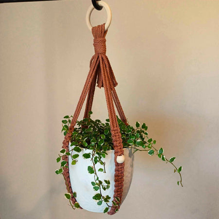 Macrame Plant Holder - No Tassel - Mocca