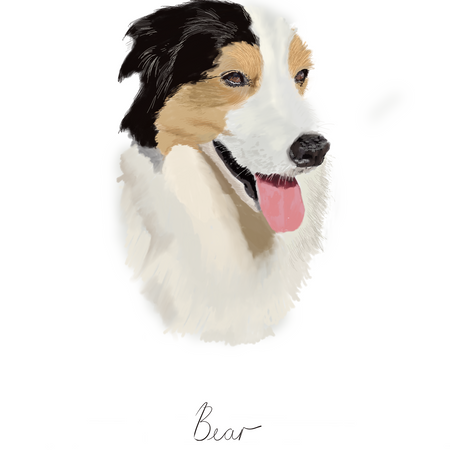 Custom Portrait of your pet dog $50