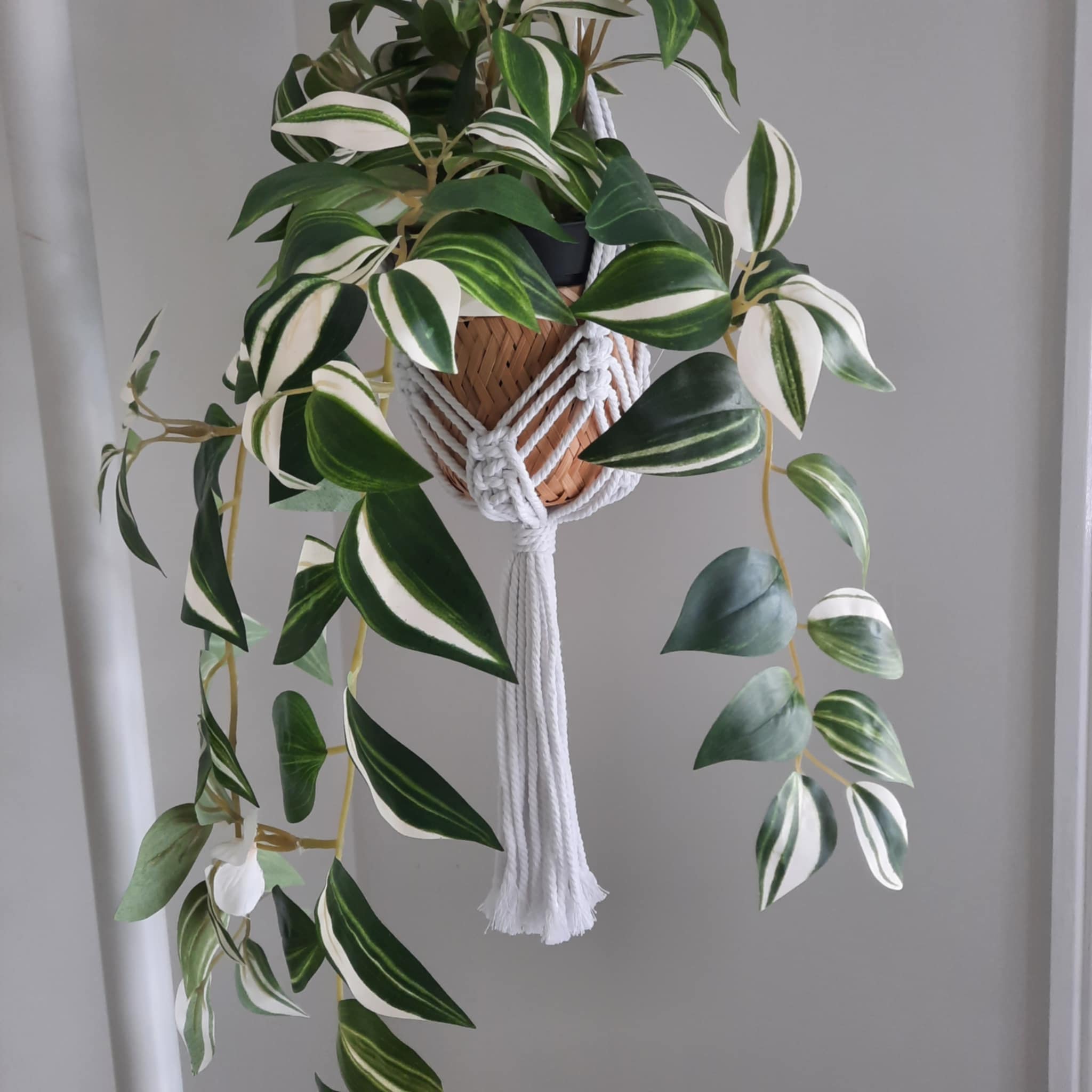 Macrame Plant Hanger