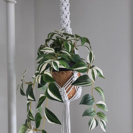 Macrame Plant Hanger