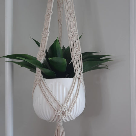 Macrame Plant Hanger large