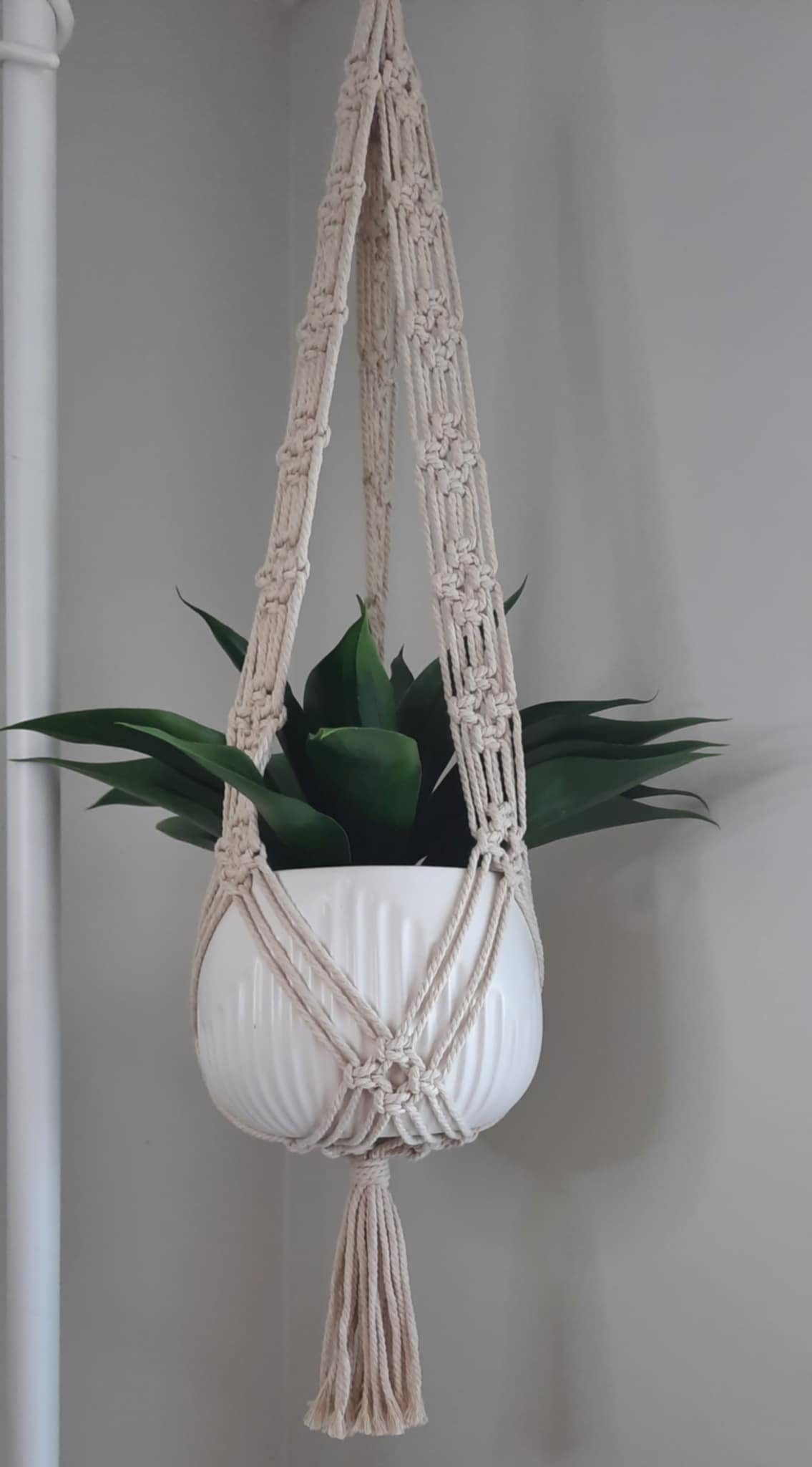 Macrame Plant Hanger large