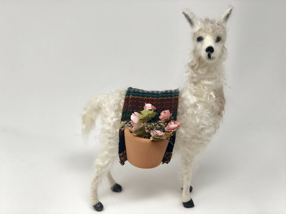 llama1