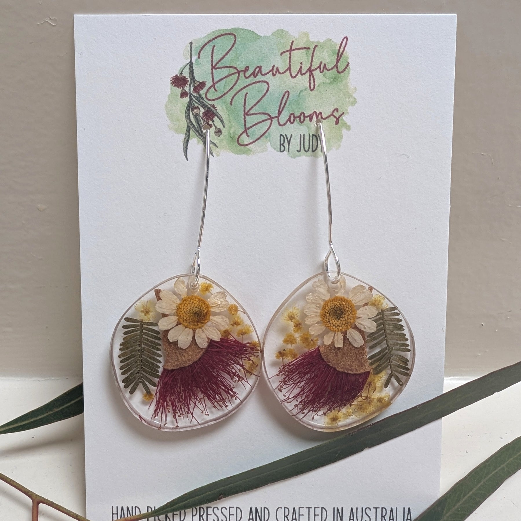 Australian native flowers, long silver hook