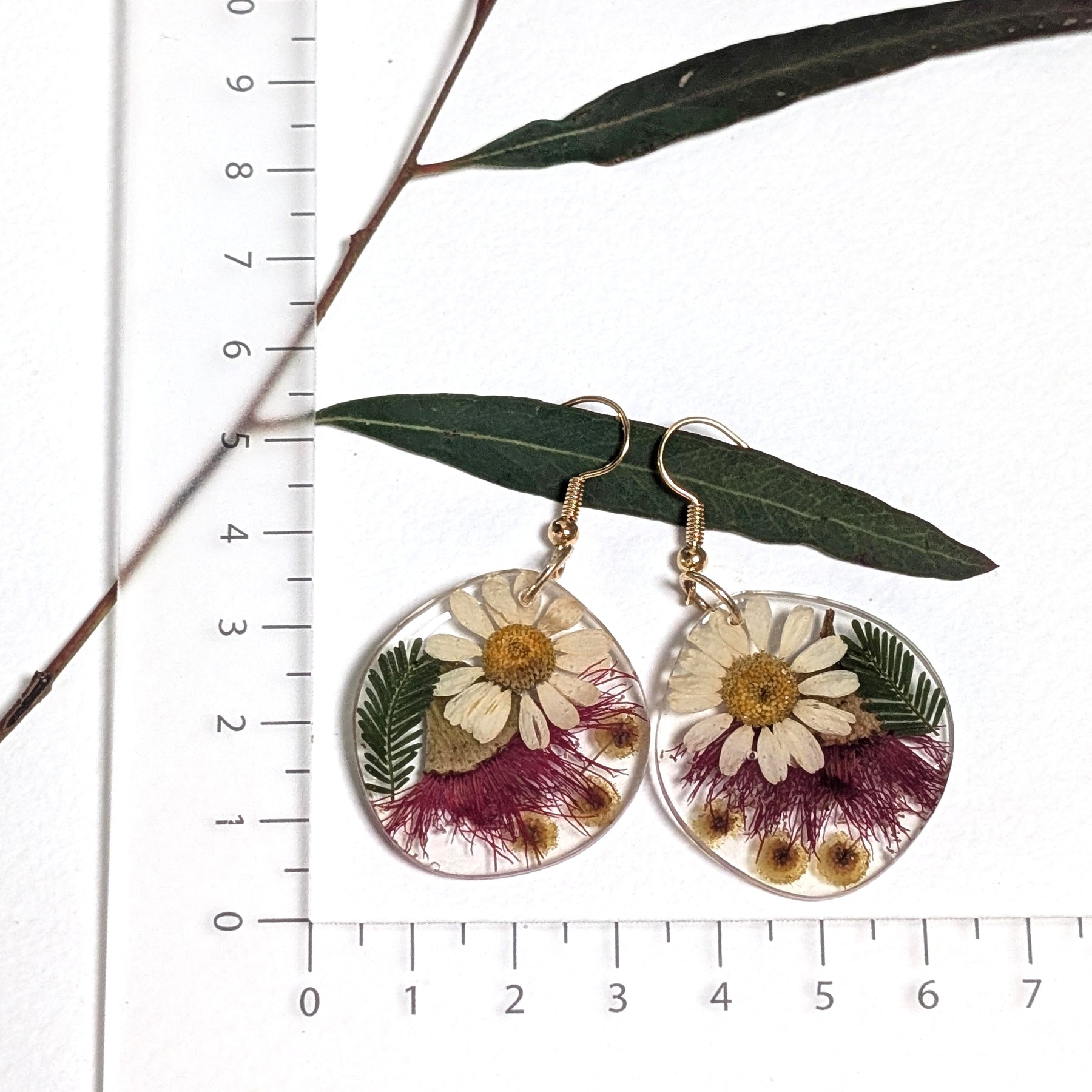 Red flowering gum, Aussie native earrings