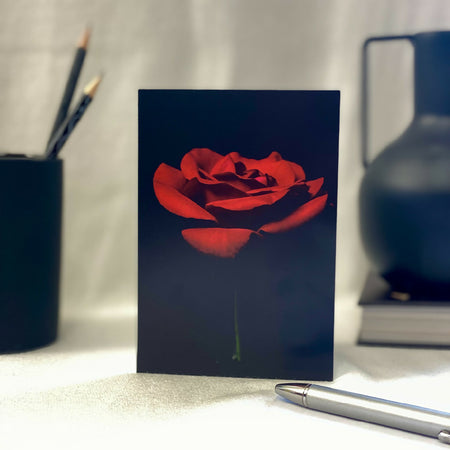 Valentine's Day Red Rose Fine Art Greeting Card