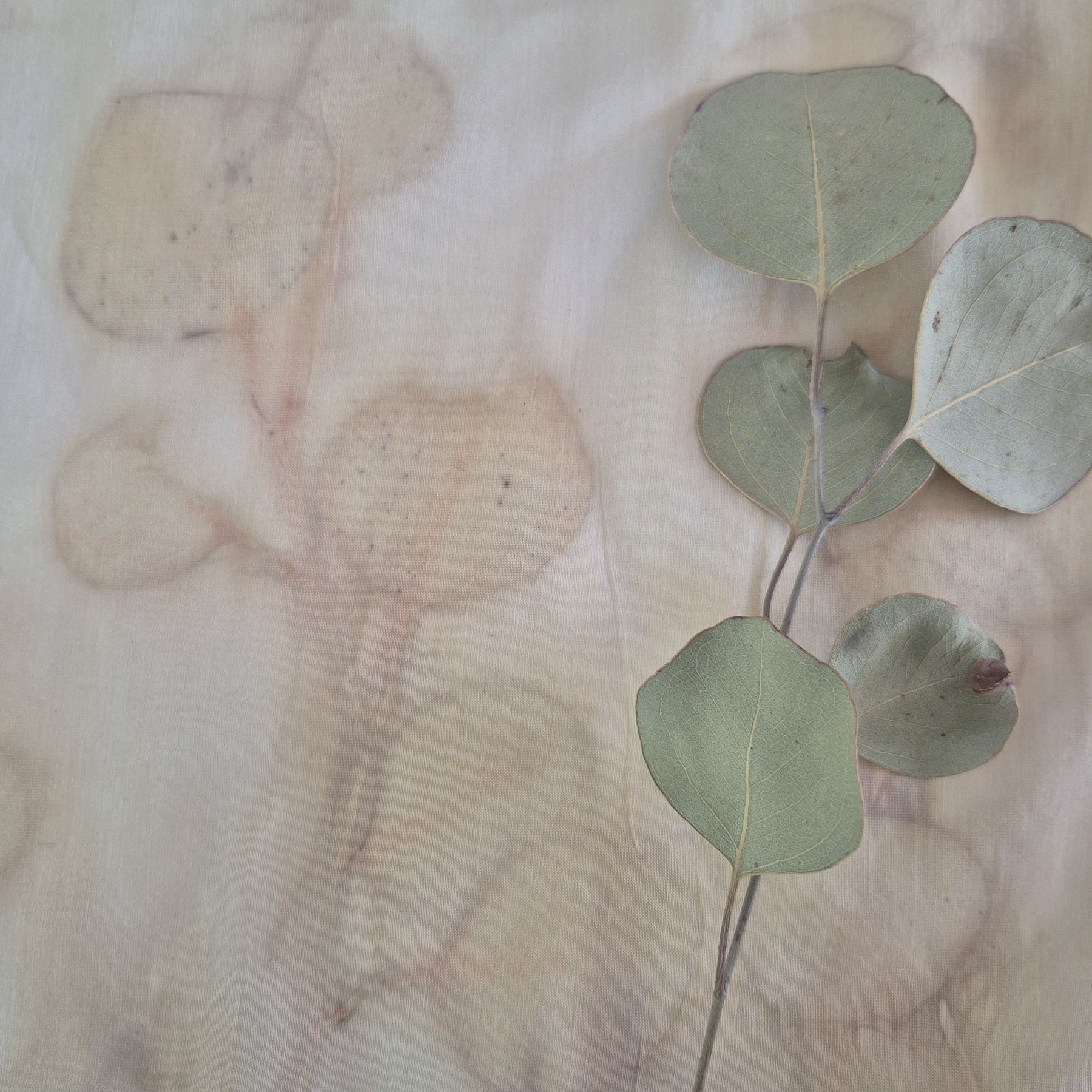 One of a kind lampshade ecoprinted on silk cotton