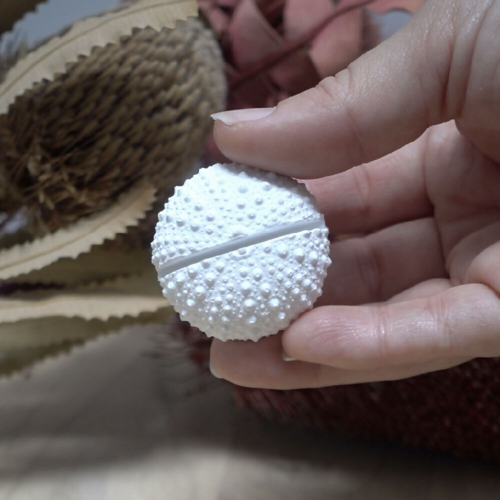 sea urchin card holder 11 madeit