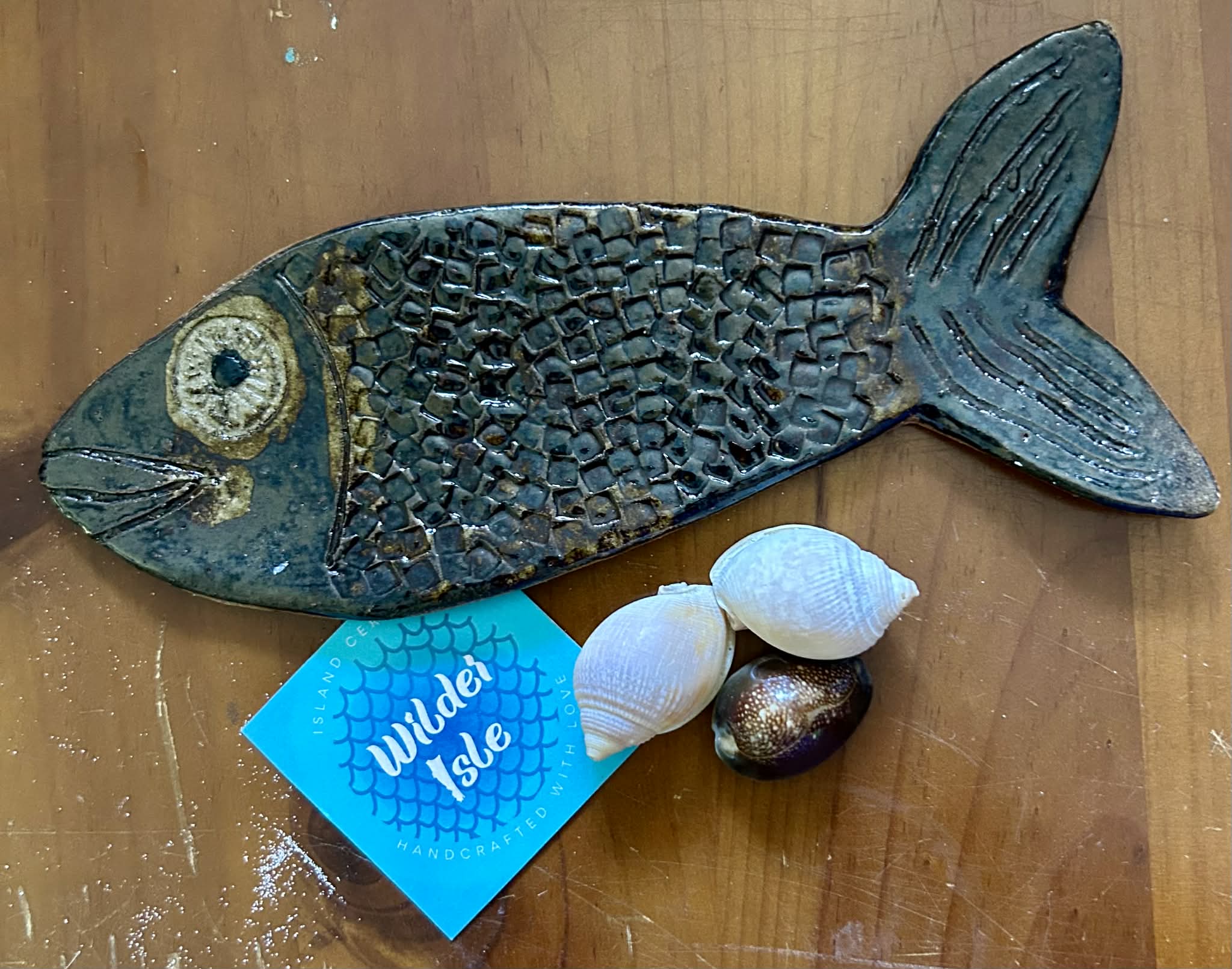 Glossy brown spoonfish