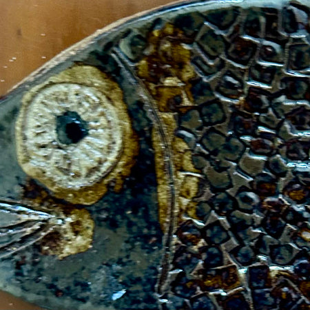 Glossy brown spoonfish