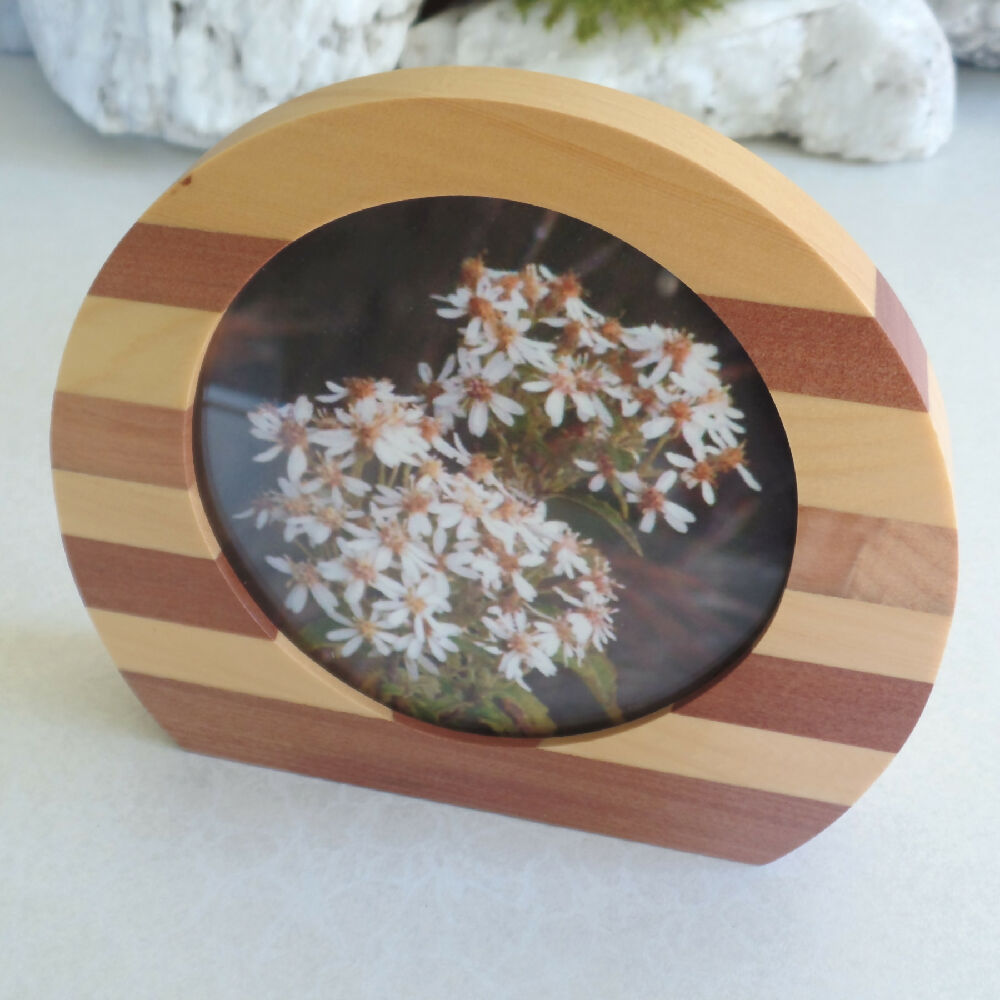 Larger Rounded Photo Frame- Tasmanian Myrtle & Huon Pine