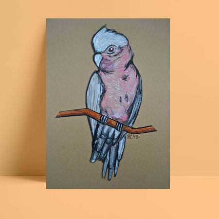 Australian Native bird - A3 print - Original Artwork