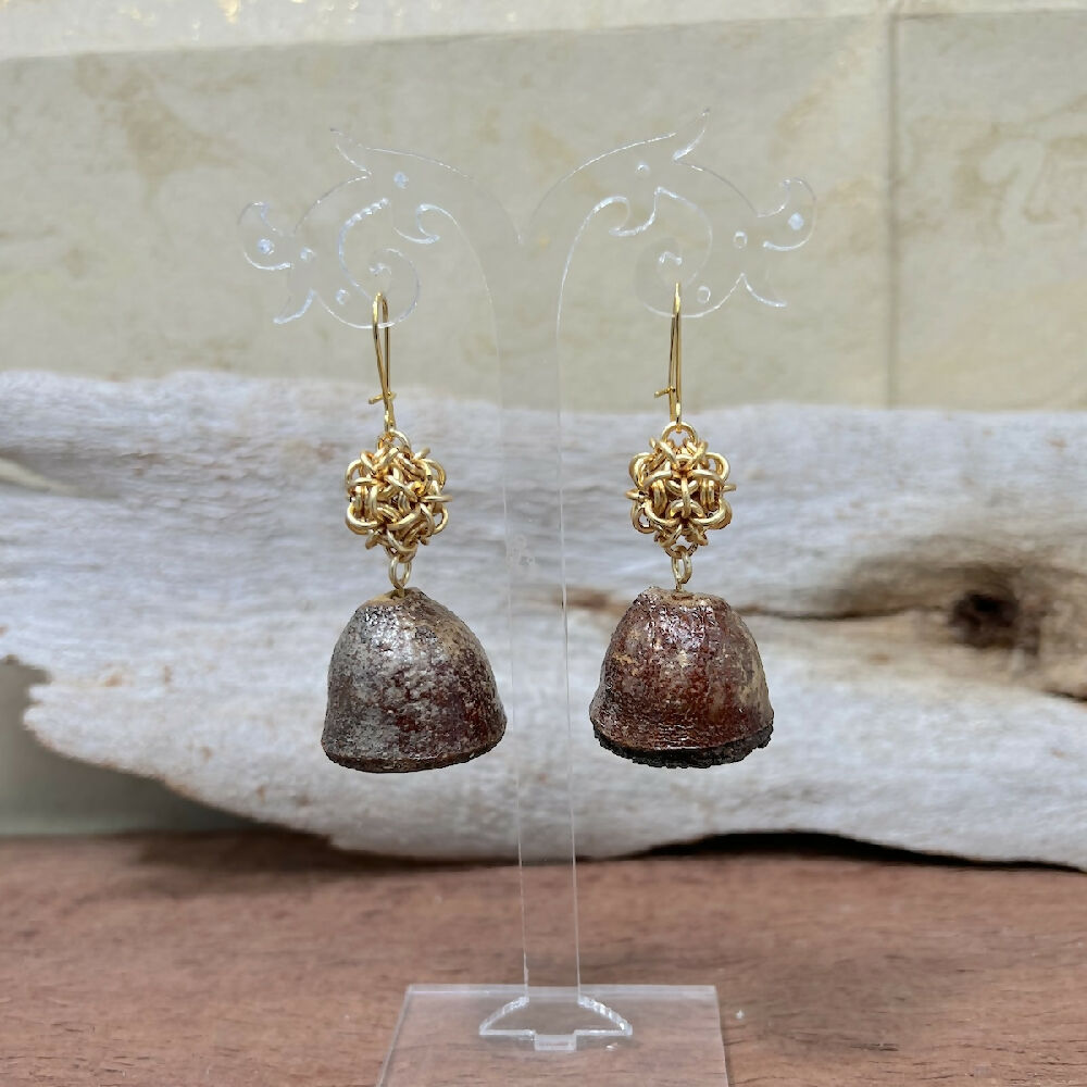 Gumnuts | Natural gumnuts with chainmaille units earrings