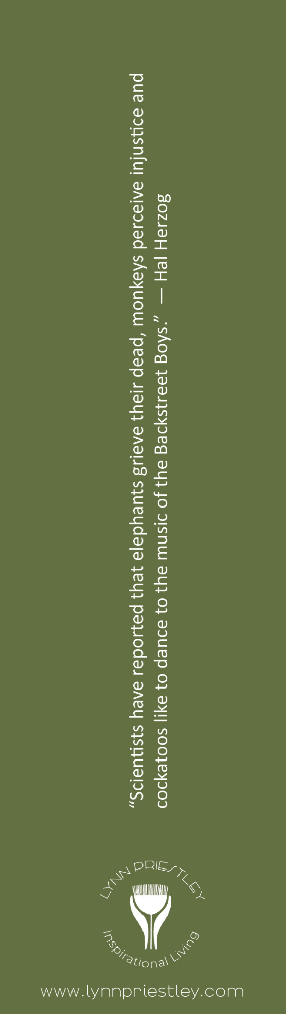 Cockatoo Friends Bookmark