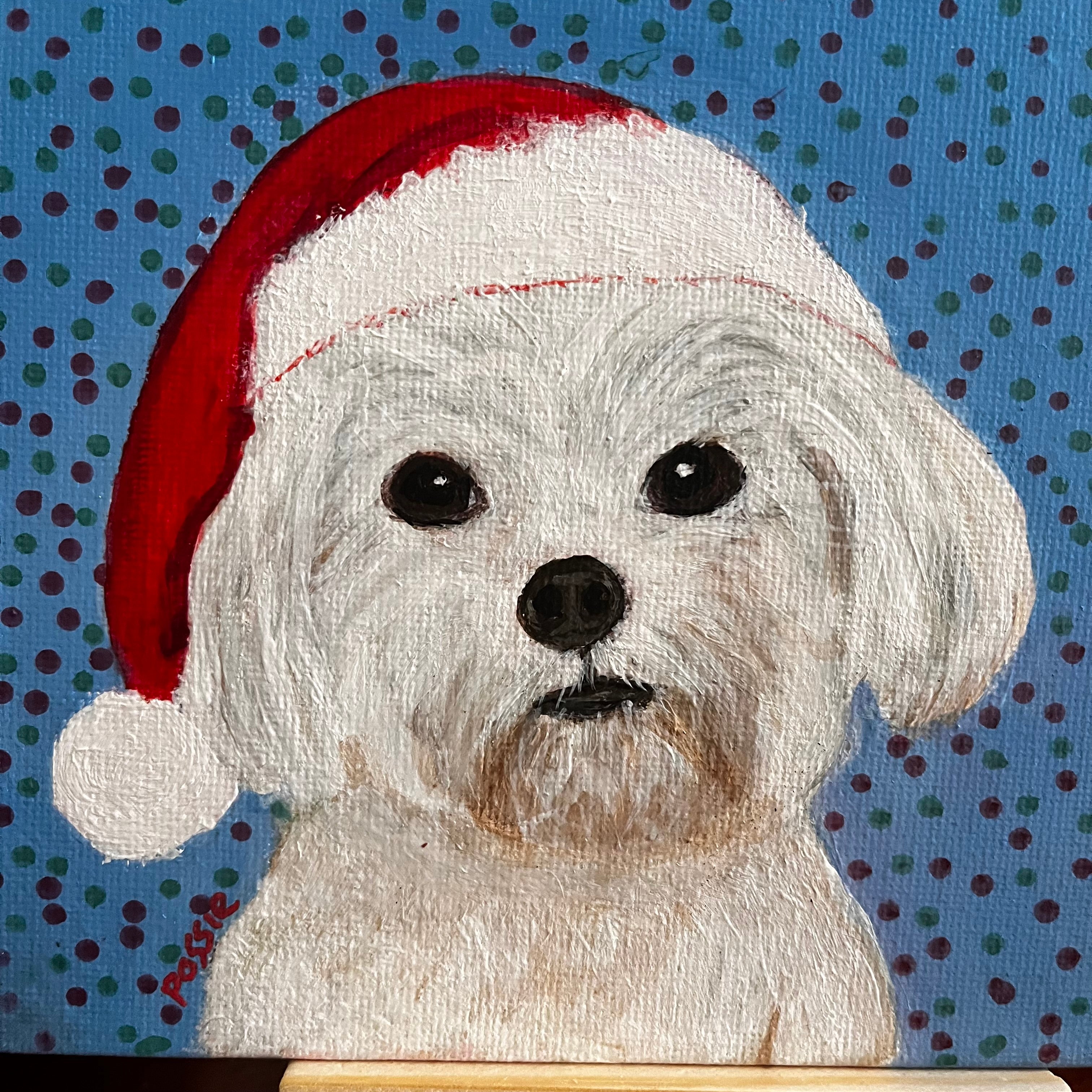 Pets in christmas Hats