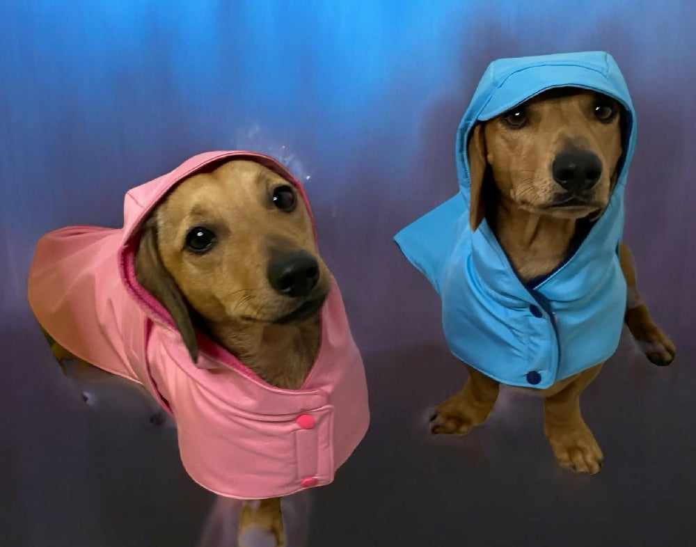 raincoat 1