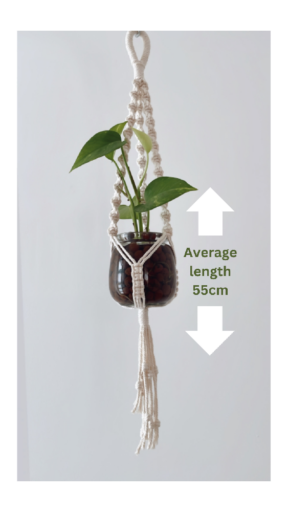 Small Propagation Macrame Hanger