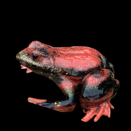 Pink And Black Dart Frog