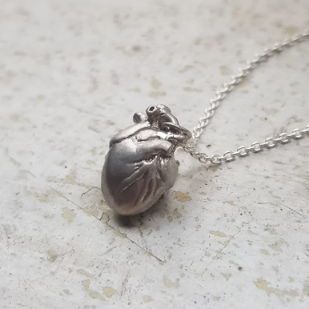 Anatomical Heart matte 2