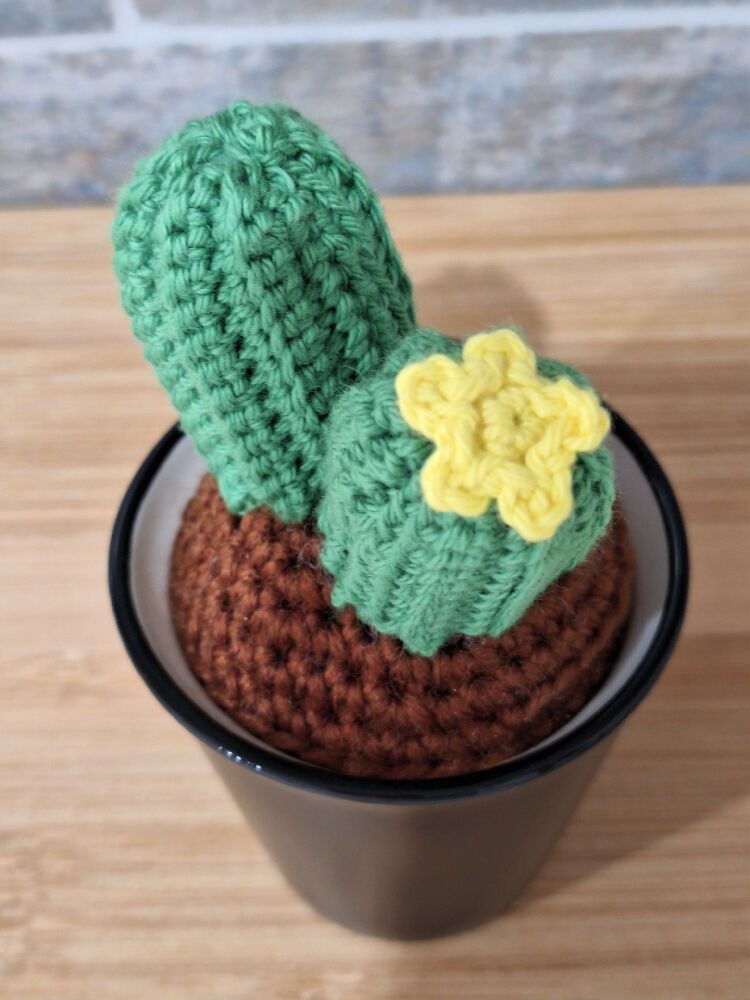 crocheted succulents room decoration