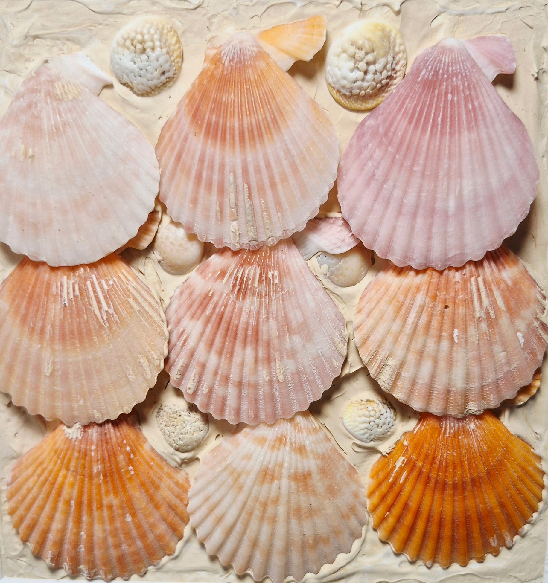 Mixed media Artwork Called Sea Shells