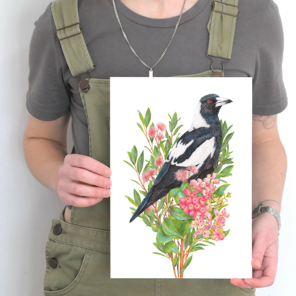 Australian Magpie Art Print