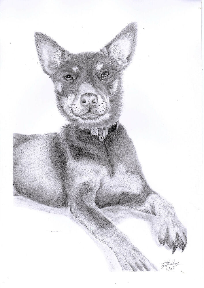 Graphite Pet Portrait A5